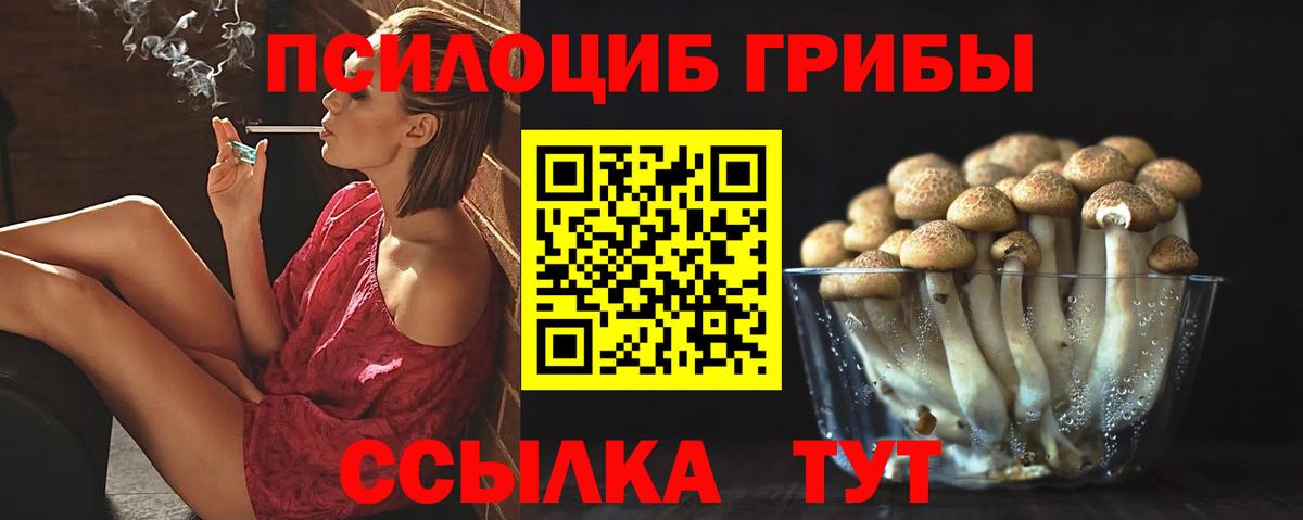 Псилоцибиновые грибы Psilocybe Борзя